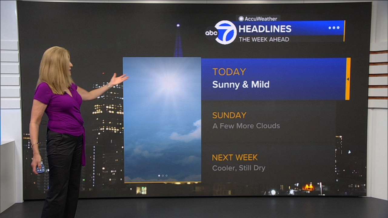 AccuWeather Forecast: Sunny and mild
— ABC 7 Bay Area, Garland Community news