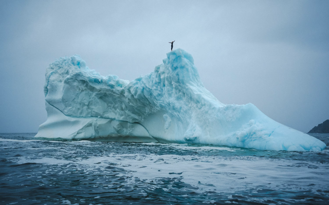 Cliff diver Molly Carson makes history, becomes first woman to dive off iceberg — WPBF Sports Palm Beach, Garland Sports news