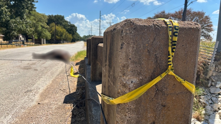 Dead horse tied to small bridge, 'dumped' along North Texas rural road, official says — WFAA (Dallas-Fort Worth)