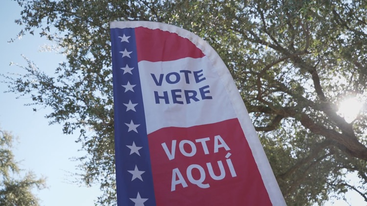 Voters in Garland Texas celebrating early voting