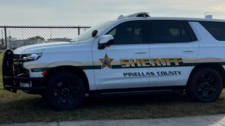 Pinellas man named Michael Jackson accused of attempted sexual battery — WTSP 10 Tampa Bay
